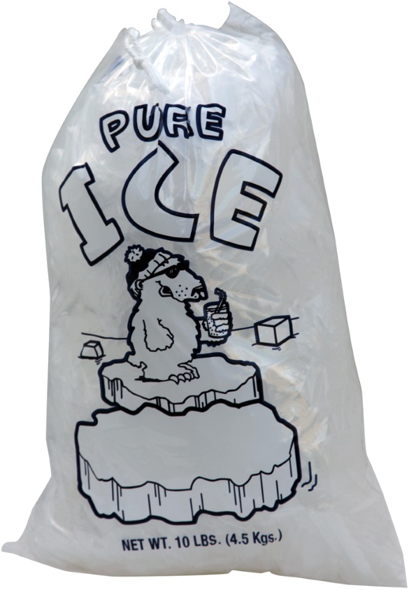 10 LB ICE BAGS W/ DRAWSTRING - POLAR - 500/CASE